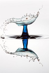 tumblr_mf5hvdVRj71qbcporo1_1280-12282012