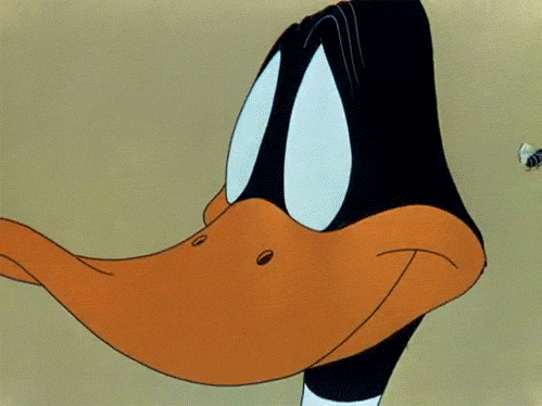 tumblr_lsqsh4Edin1qg39ewo1_500-01182013