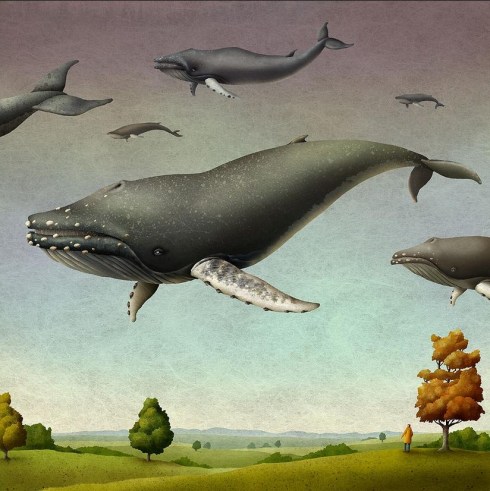 tumblr_mih9w8F9JC1qbmgeto1_1280-02212013