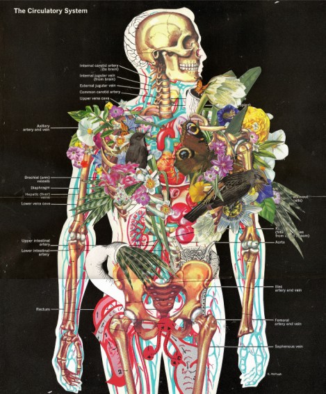 tumblr_mimklpUnHE1qbcporo1_1280-02252013