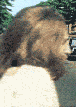 tumblr_mhptedmm321rth0kio1_250-03062013