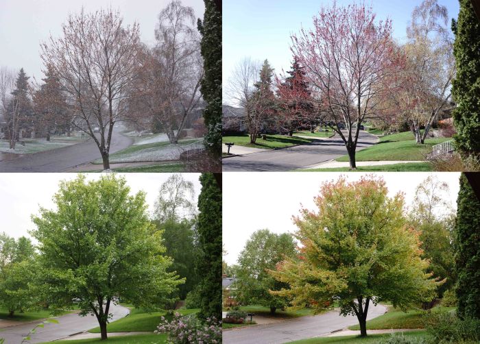 Hey--that's my tree.