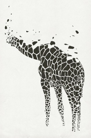 11012013-tumblr_mvkx19SekM1qbcporo1_1280