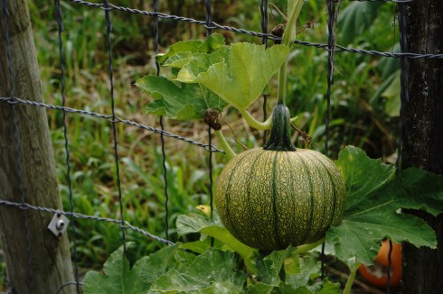 03232014-9645679679_4550e7fedb_h