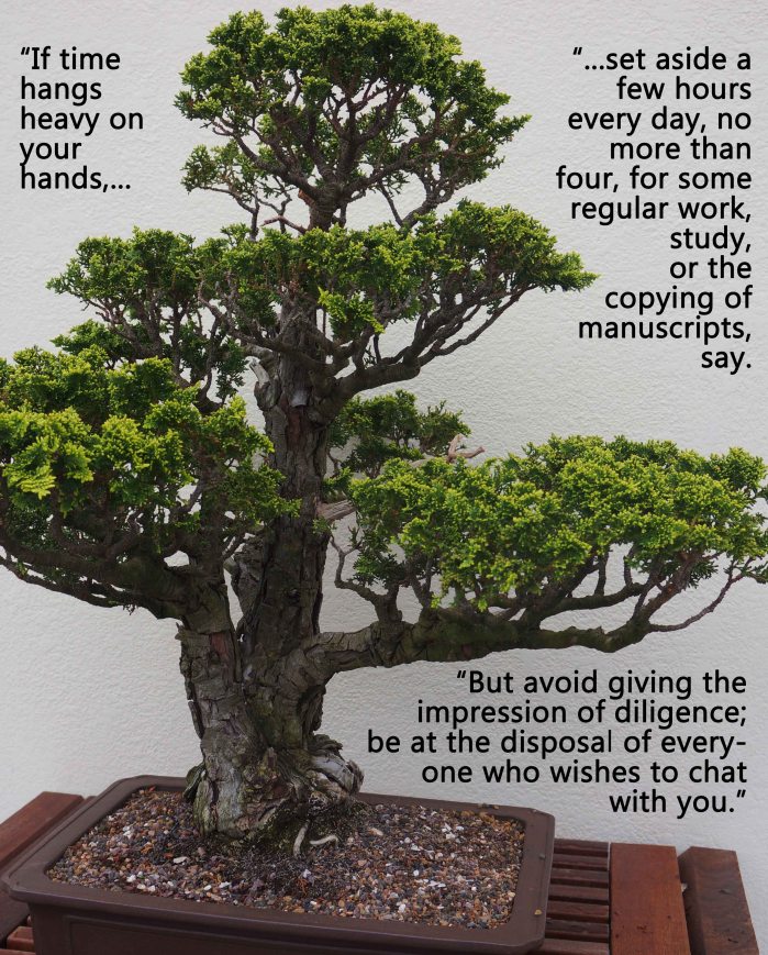 AvoidImpressionOfDiligence