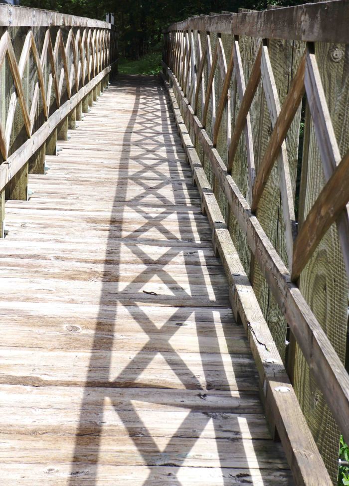 BridgeShadow-04152014_edited-1