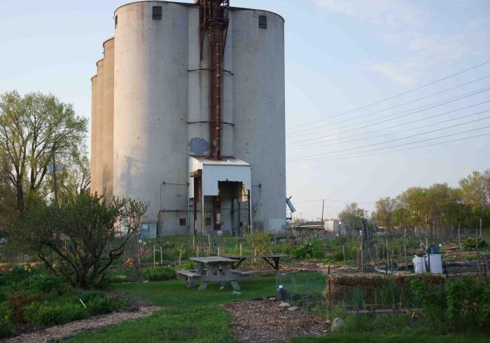 Urban Garden in Mill City