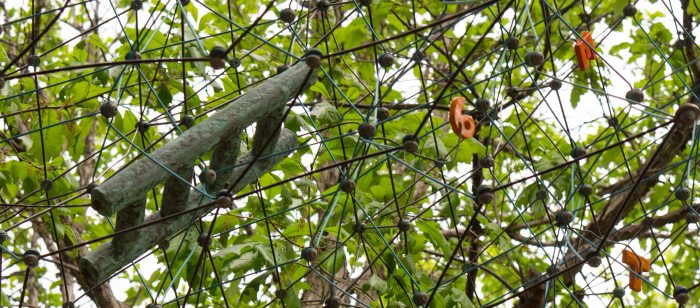 PlantNotPreach-06052014_edited-1