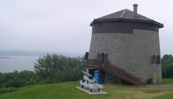 'Murica just over that water.