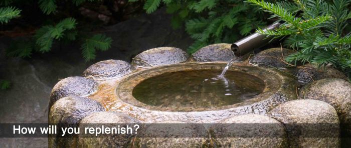 Replenish-07172014