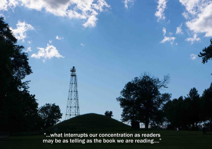 TowerEffigy-2-07012014_edited-2