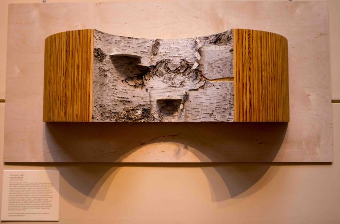 Dictionary-2-08202014