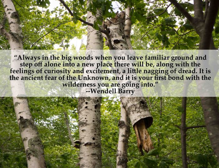 LittleNaggingOfDread-08122014