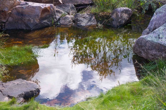 PuddleInThePrairie-09272014