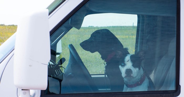 Share that raw thought with a clear-eyed friend.