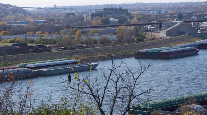 Mindful like a hungry hawk.