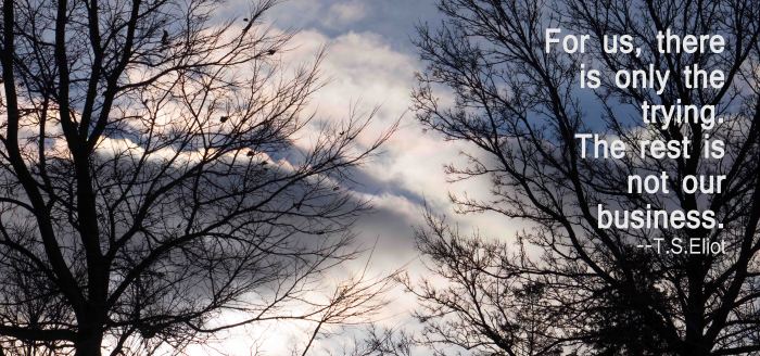 CloudTreeTrying-3-12182014