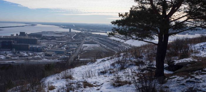 Just set your basket next to this tree.