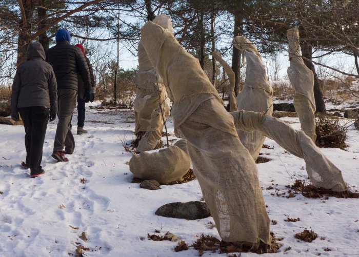 TheLivingAndDormant-3-12072014