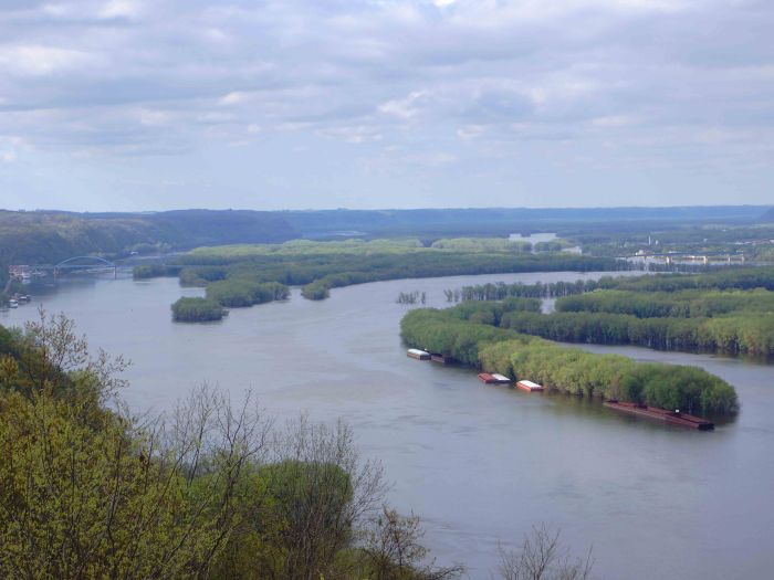 Bright bits among the ordinary.