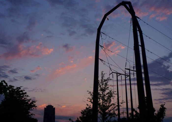 GoldMedal-2-05062015