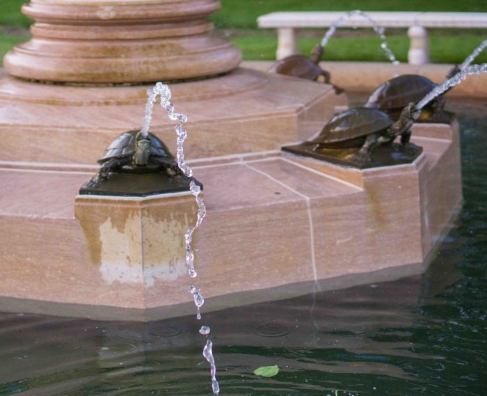 There's no stopping a word spoken.