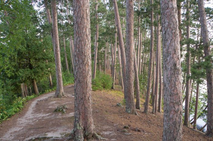 Regular talk helps grow people along similar lines