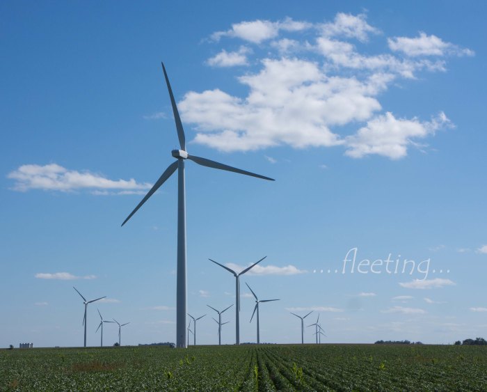 Windmill-2-Fleeting-09012015