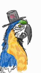 Macaw_0