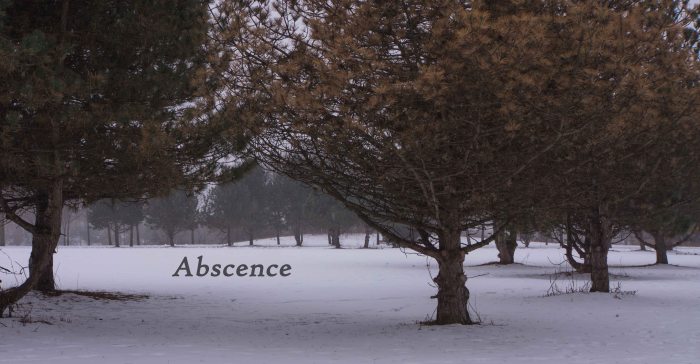 TreeCircle-3-20160202