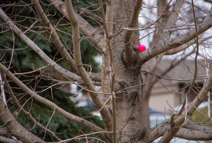 EasterEggHunt-2-20160328