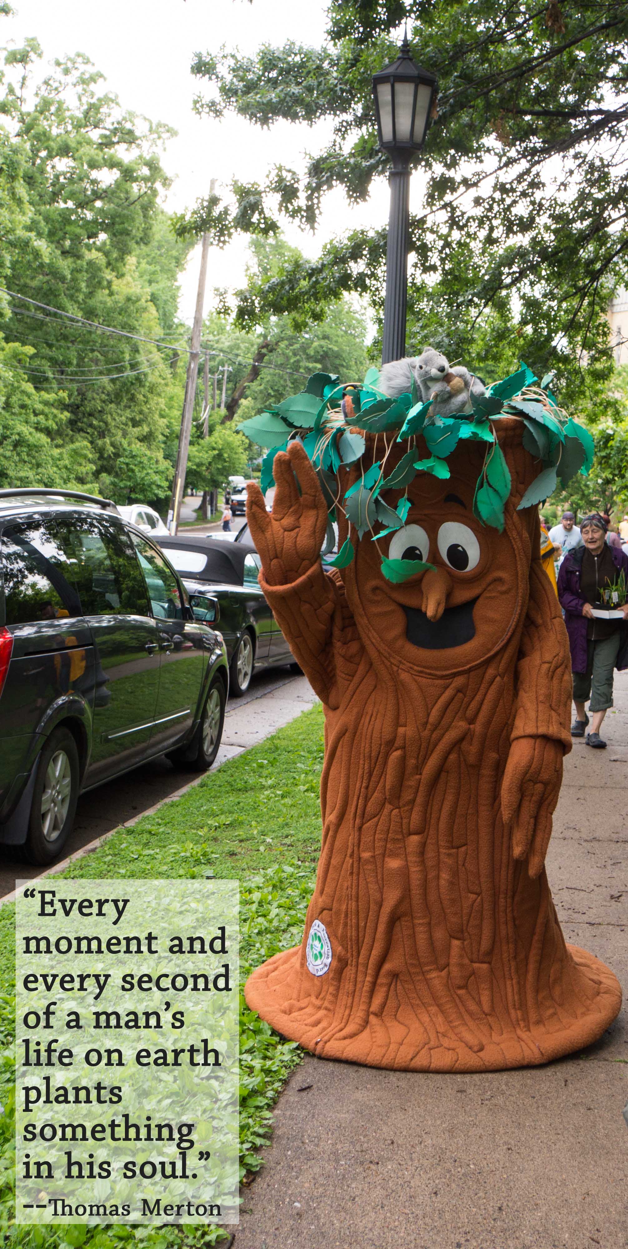 WavingTree-3-20160702