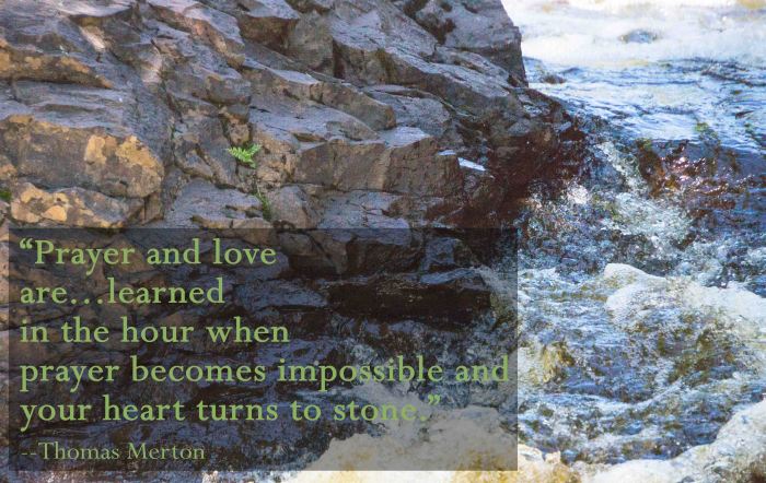 SproutByStream-4-20160808