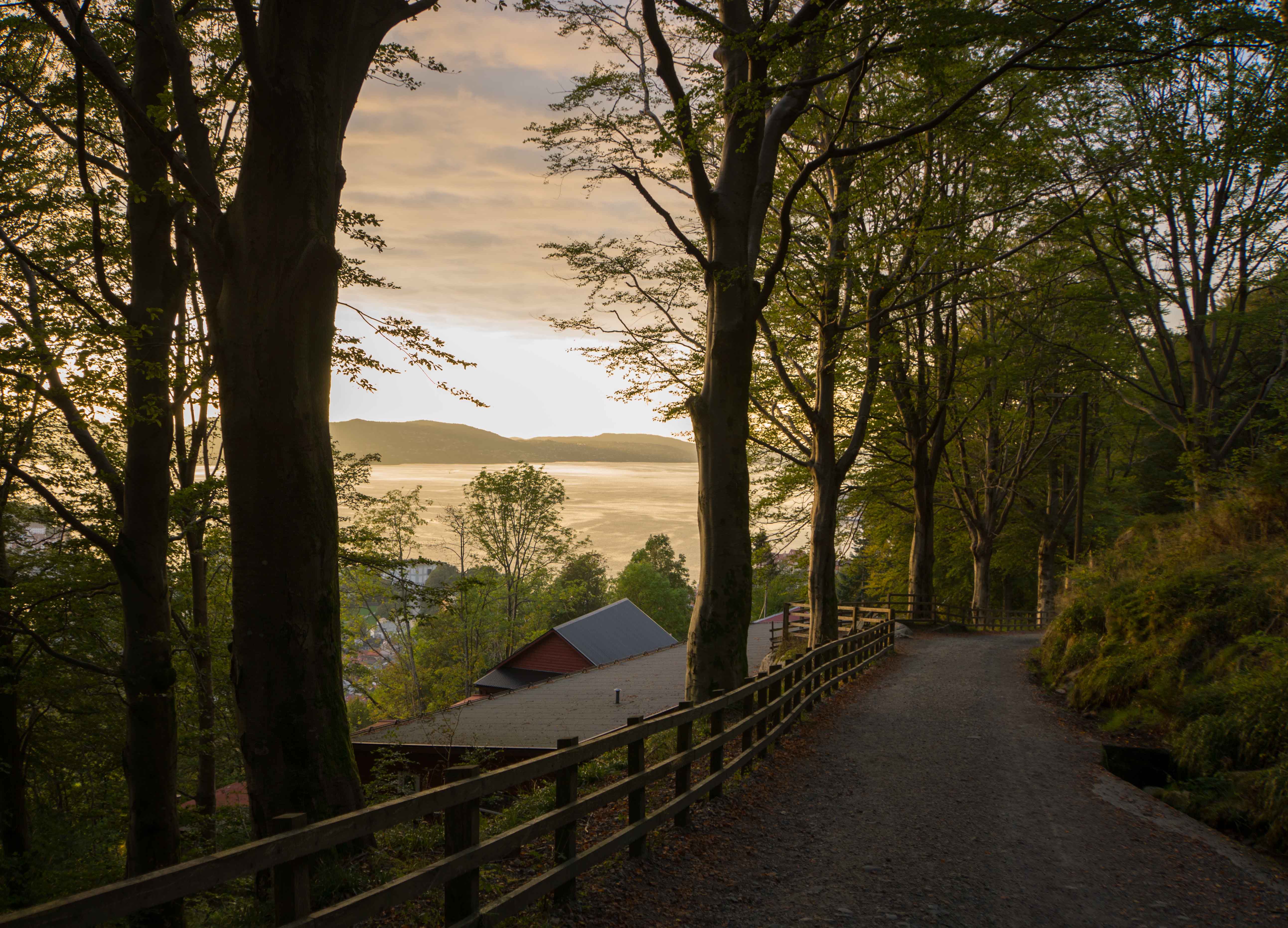 downhillview-2-20161013